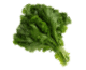 Sayuran